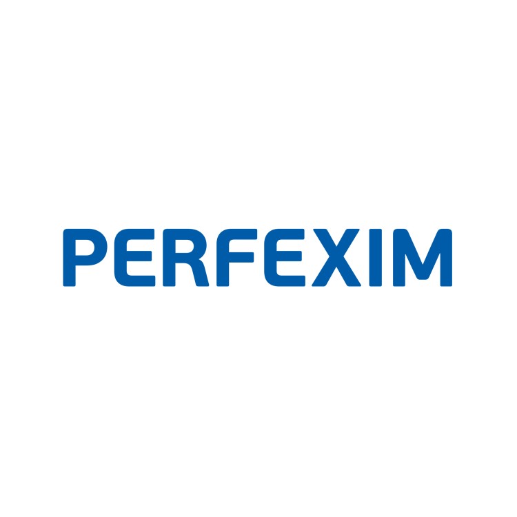 Logo PERFEXIM w kolorze niebieskim na białym tle