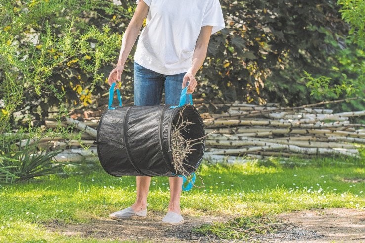 a33c4c5a42f597dd824181eb5902