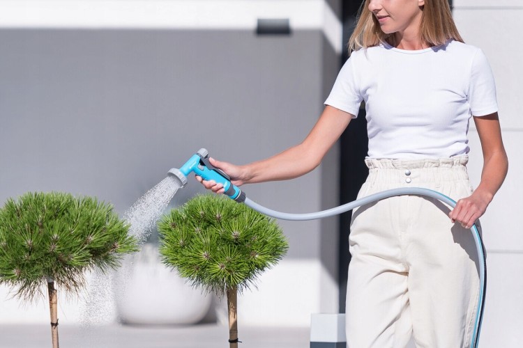 239eceaf4bacbc55c993b6b65607