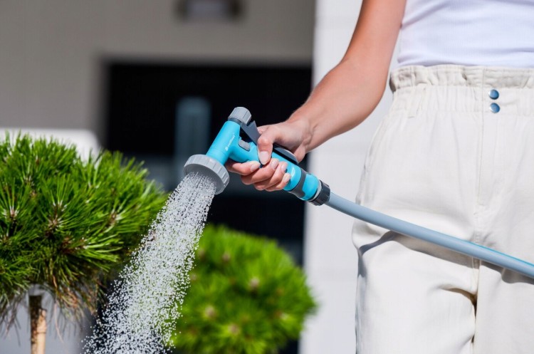 880358744da78dbb805997220bd7